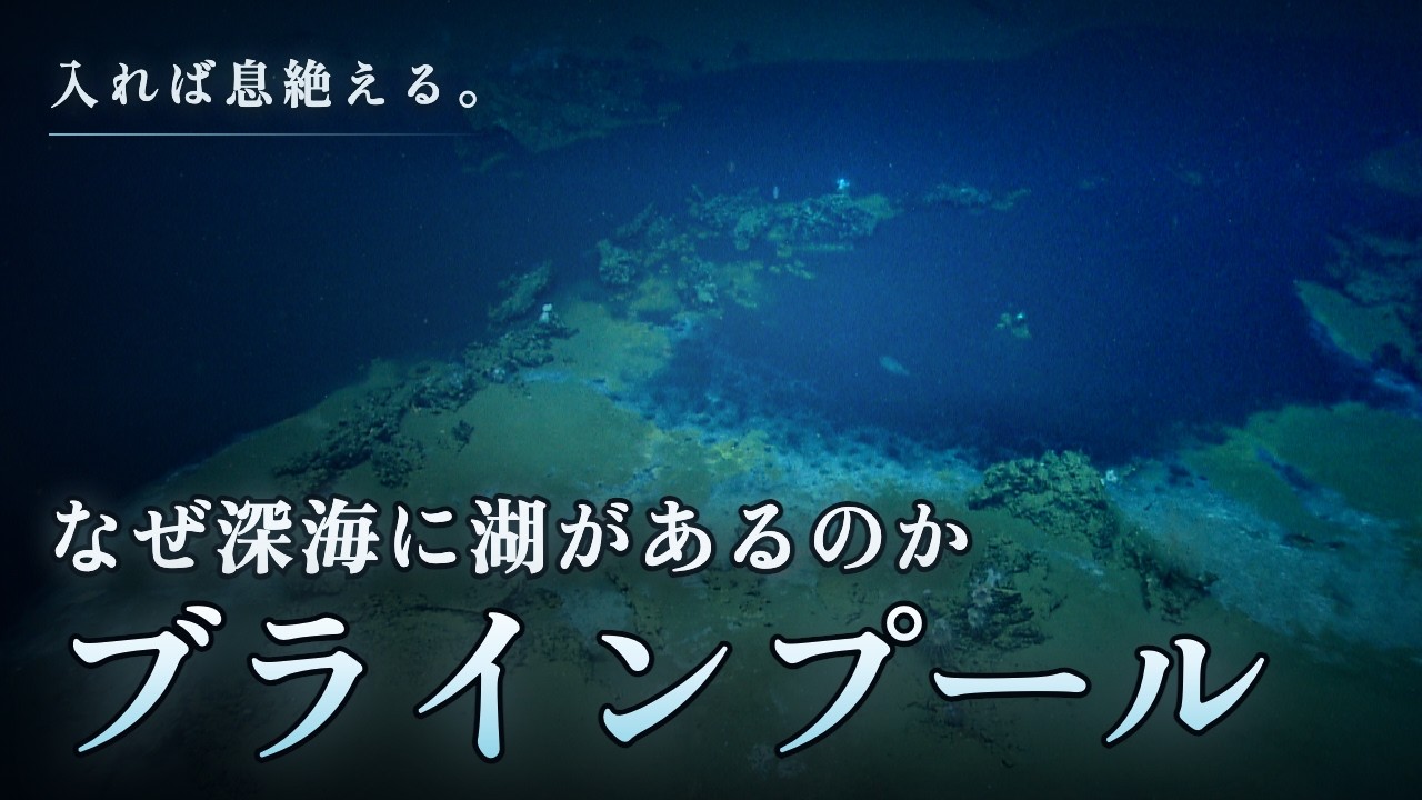 最新動画「なぜ深海に湖があるのか。ブラインプール――入れば息絶える、塩の湖の正体」を YouTube で見る